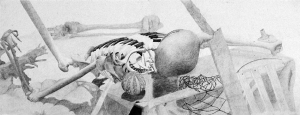 Skeleton