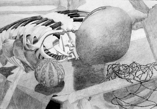 Skeleton_Closeup